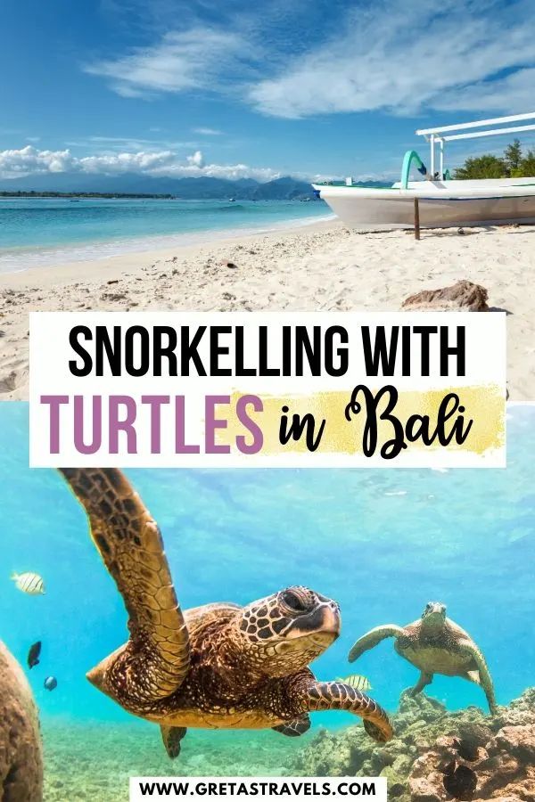 Photo collage of turtles and a beach on the island of Gili Trawangan with text overlay saying "snorkelling with turtles in Bali"