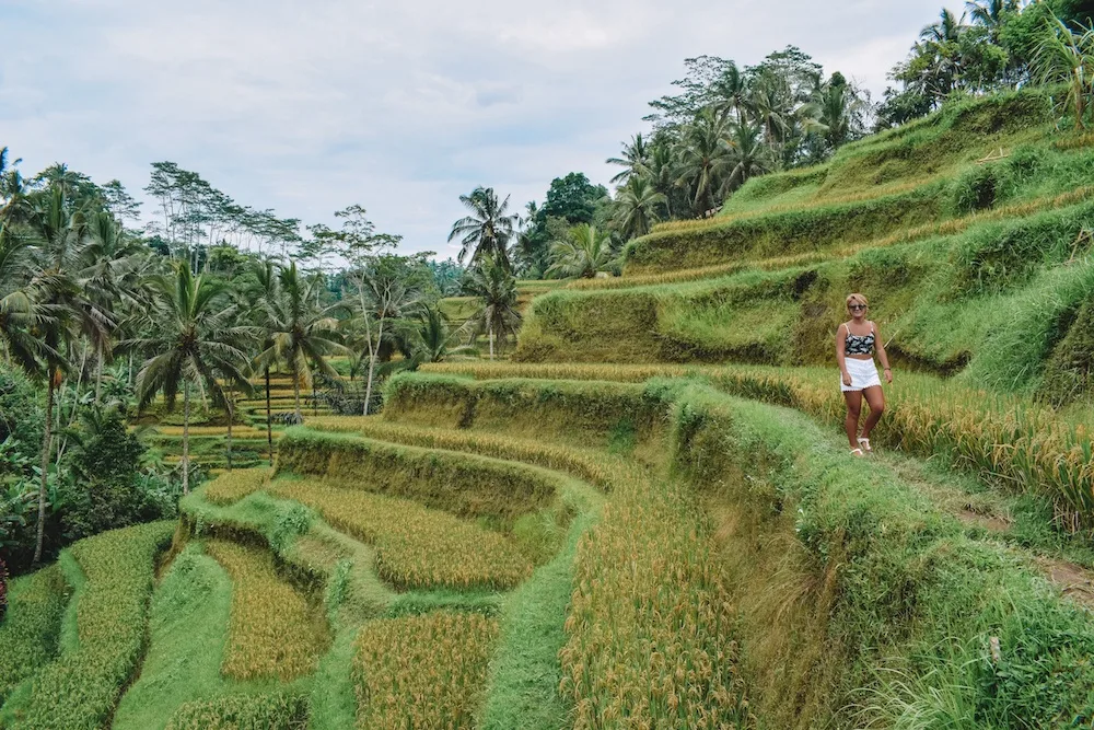Strolling around the terraced rice fields of Tegalalang, Ubud
