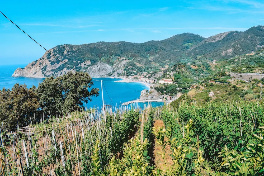 Wineries somewhere along the Sentiero Azzurro in Cinque Terre, with Monterosso in the distance