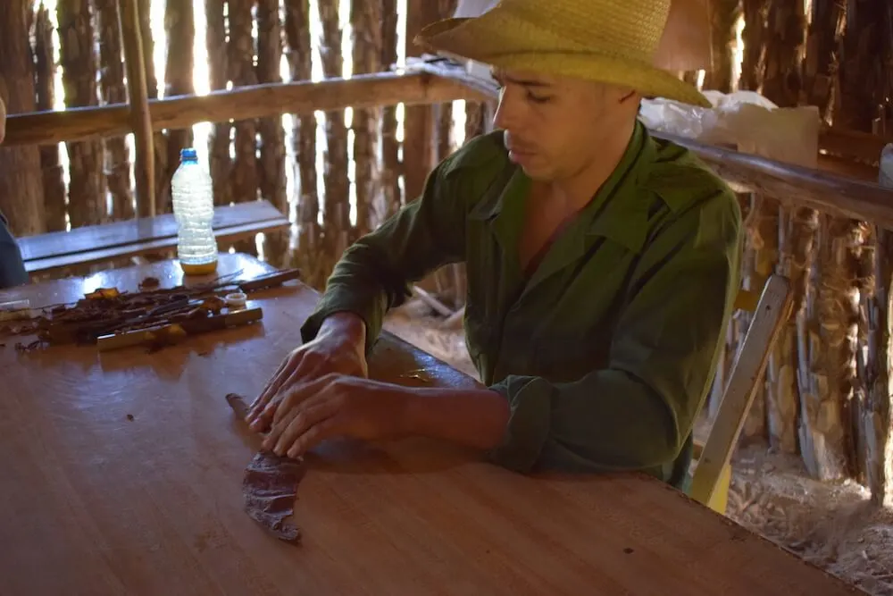 One of the tobacco farmers shows how they roll cigars