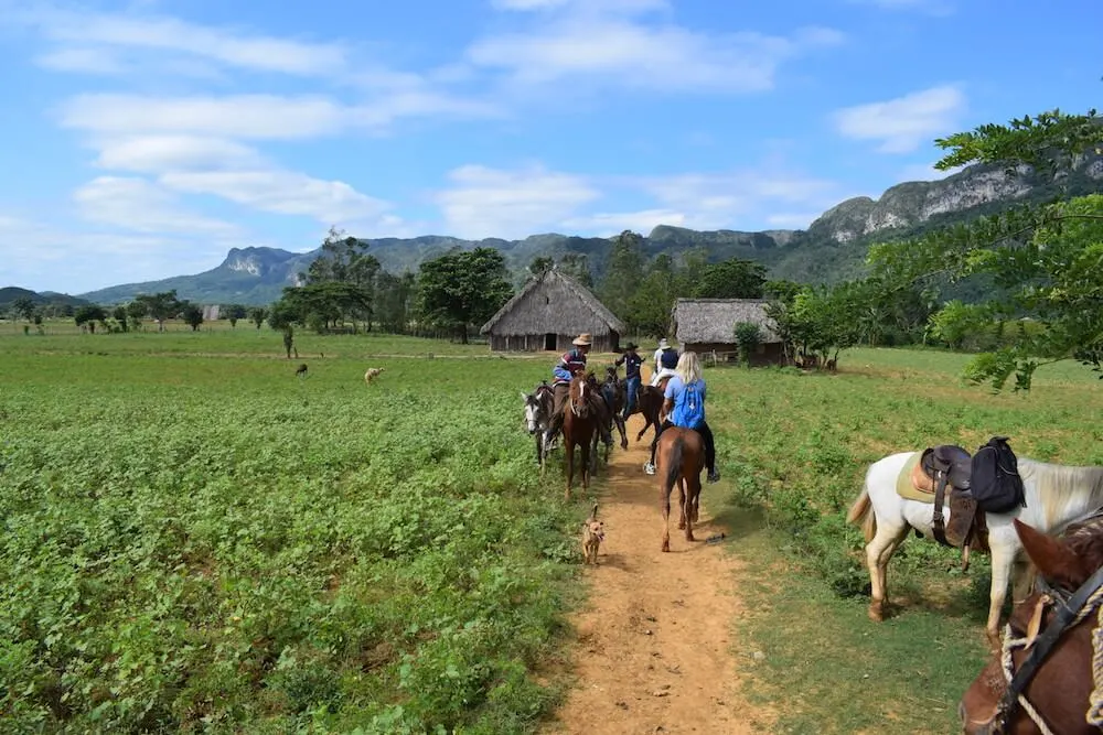 Horse riding in the valley Viñales