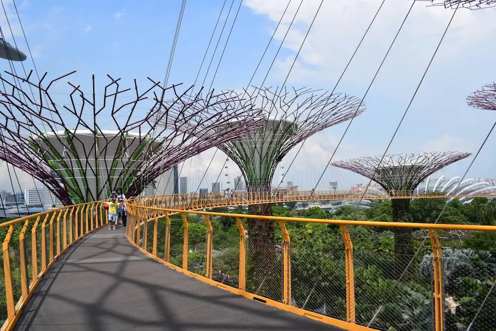 The OCBC Skyway, the suspended walkway in the Supertree Grove in Singapore