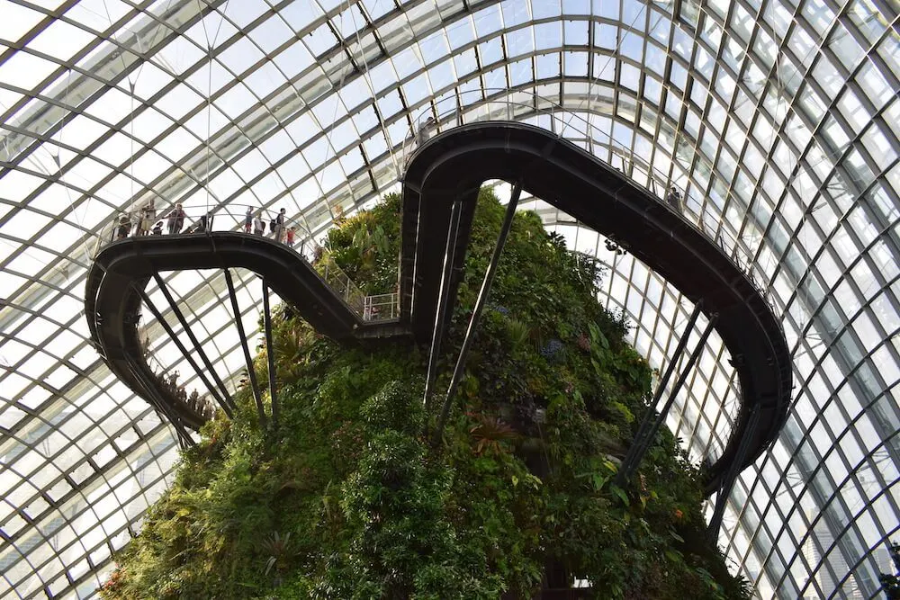 The Cloud Forest, Singapore
