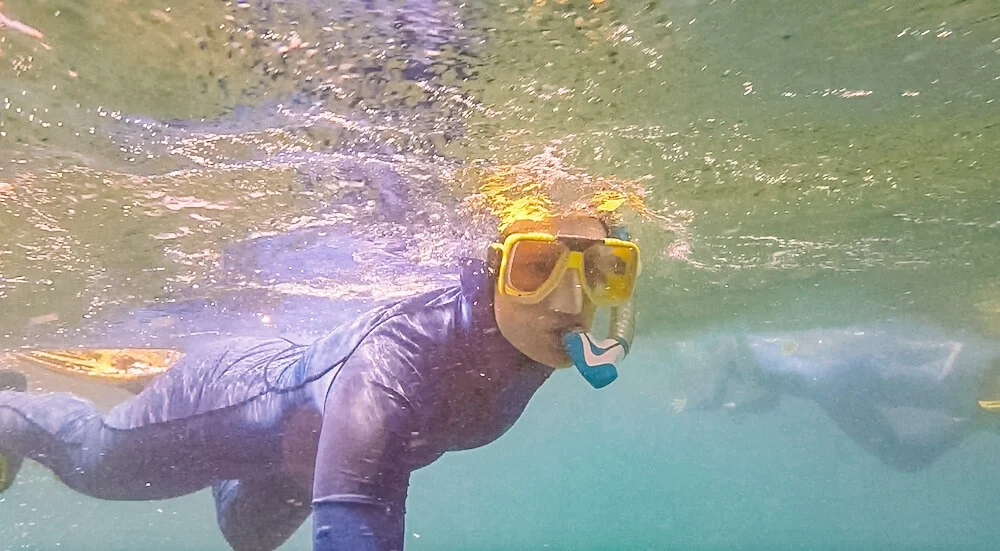 Looking fabulous while snorkelling on the GBR in my stinger suit