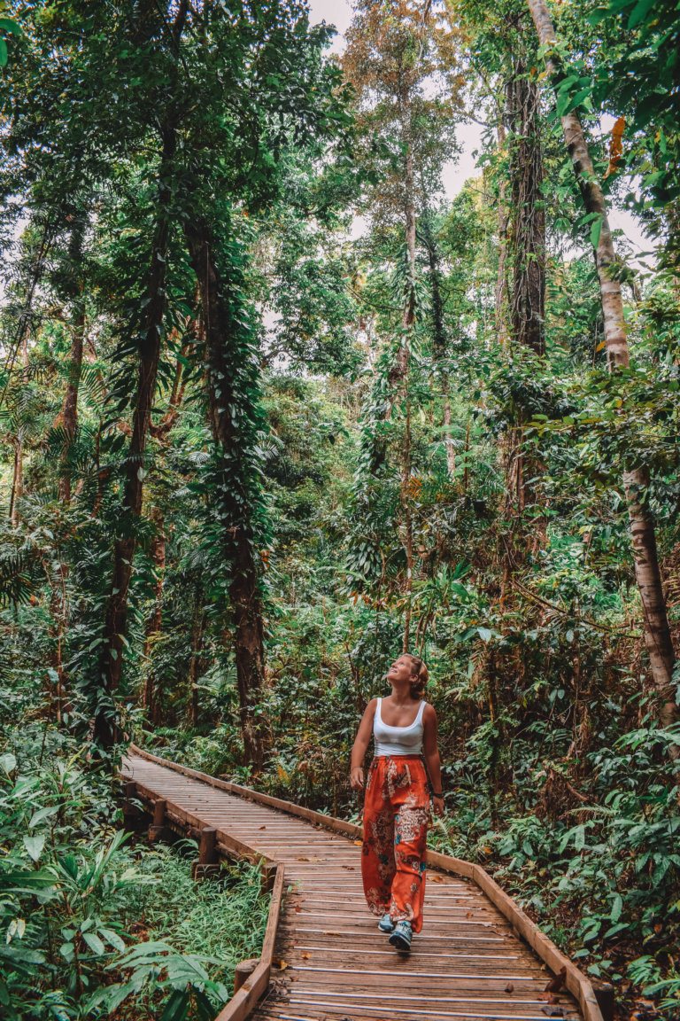 Walking around the Daintree Rainforest, Australia