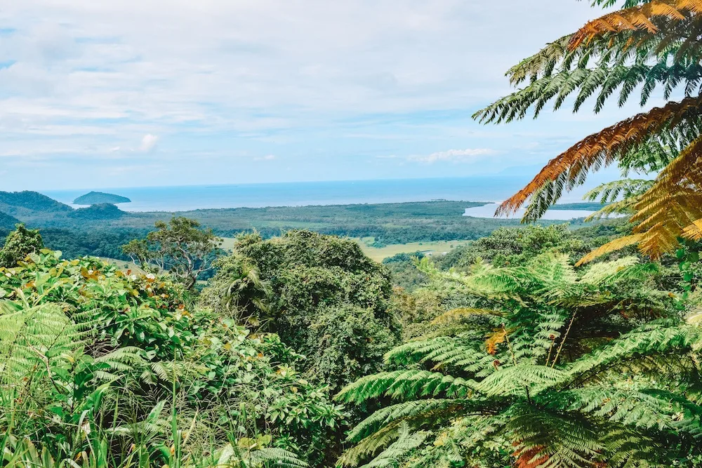 Views over the ocean from the Daintree Rainforest, Australia