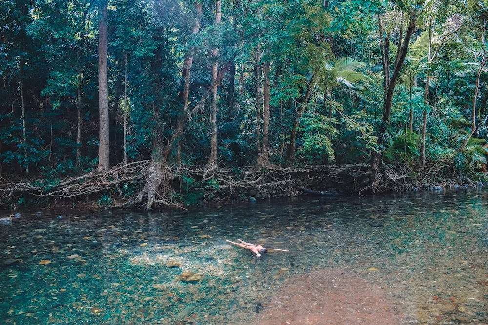 Swimming in freshwater creeks in the Daintree Rainforest, Australia
