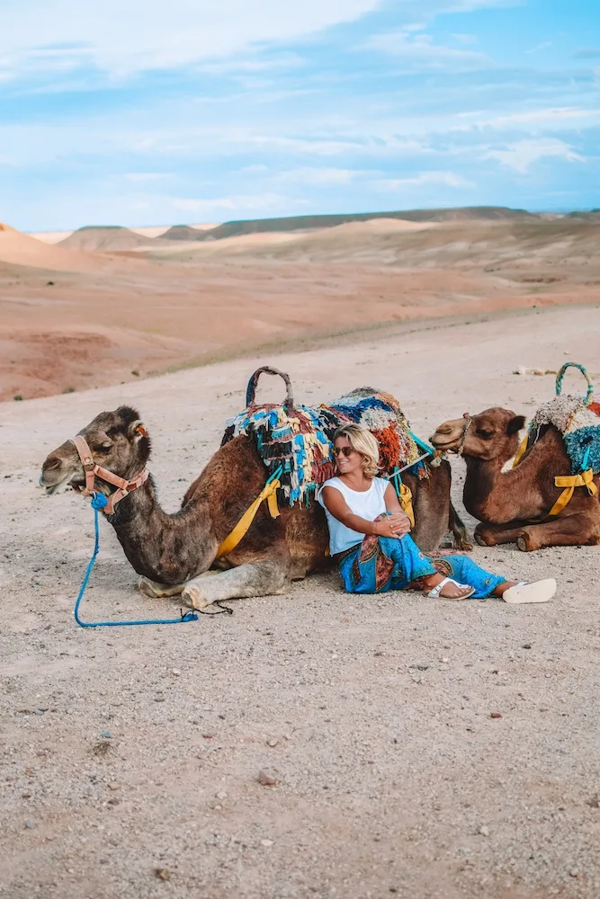 Camel ride in the Agafay Desert, Morocco