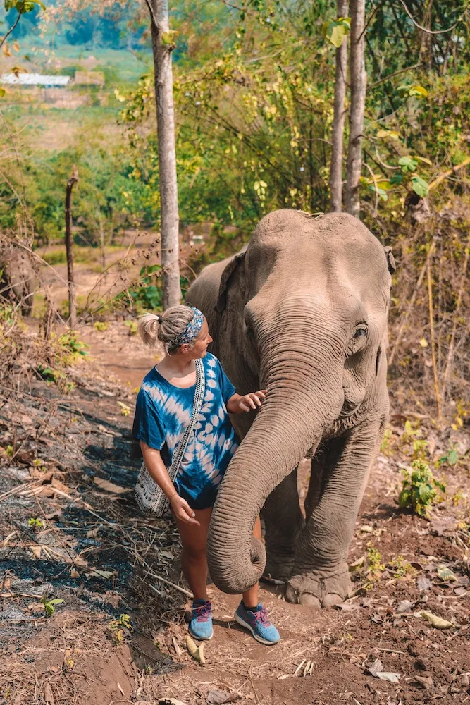 Walking in the forest with one of the rescued elephants at Elephant Green Hill, Chiang Mai