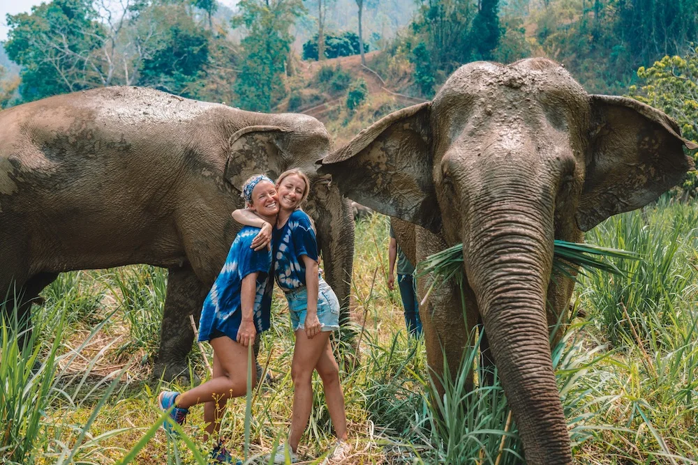 Spending time with the elephants at Elephant Nature Park, in Chiang Mai, Thailand