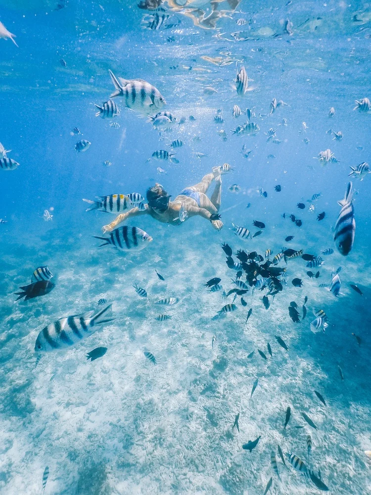 Snorkelling with millions of fish during our boat trip in El Nido, Philippines