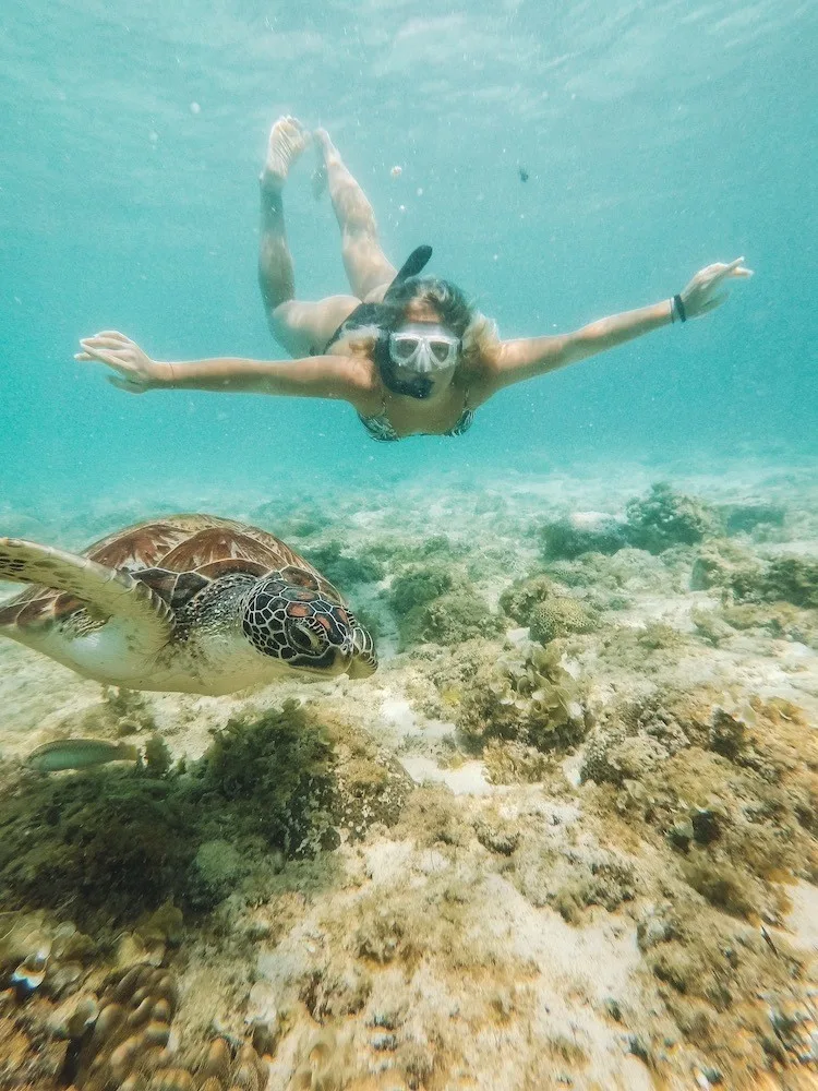 Snorkelling with turtles in Moalboal in Cebu Island