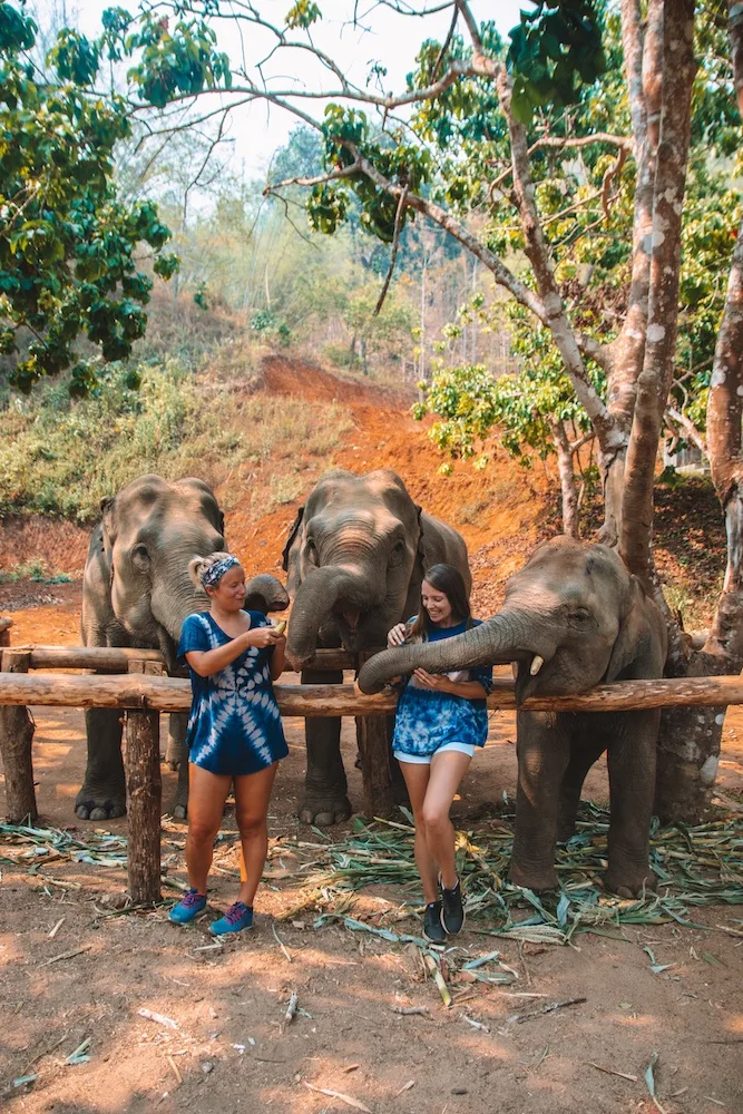 Two girls feeding three elephants at Elephant Green Hill, part of the Elephant Nature Park "saddle-off" project, in Chiang Mai, Thailand - a must see in any Thailand 2 week itinerary