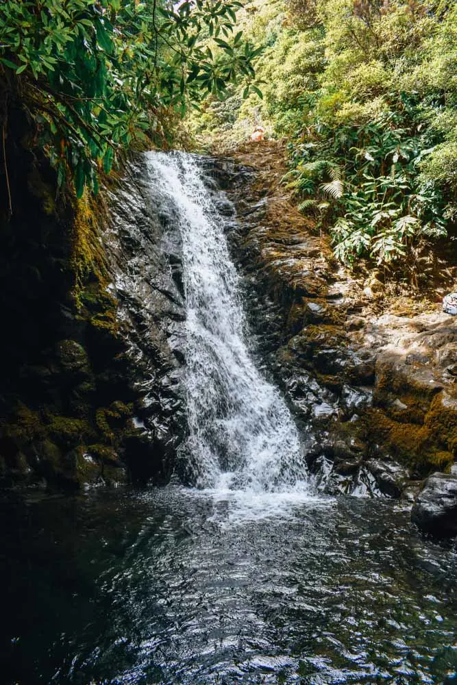 The waterfall you can swim in during your hike of Caldeira de Santo Cristo in Sao Jorge island
