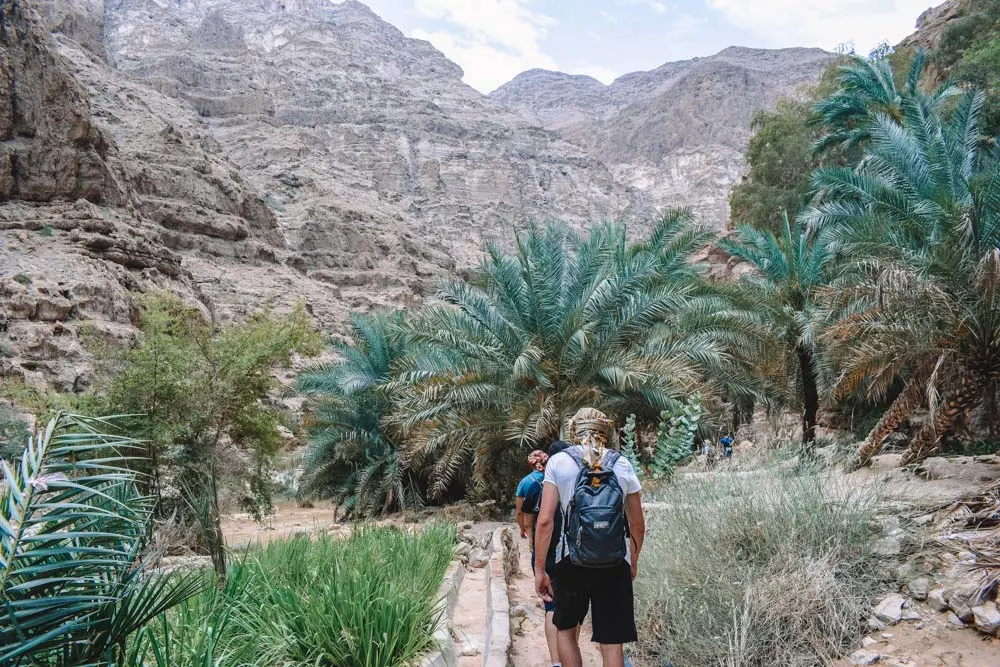 The initial part of the Wadi Shab trail, when there are still lots of palm trees!