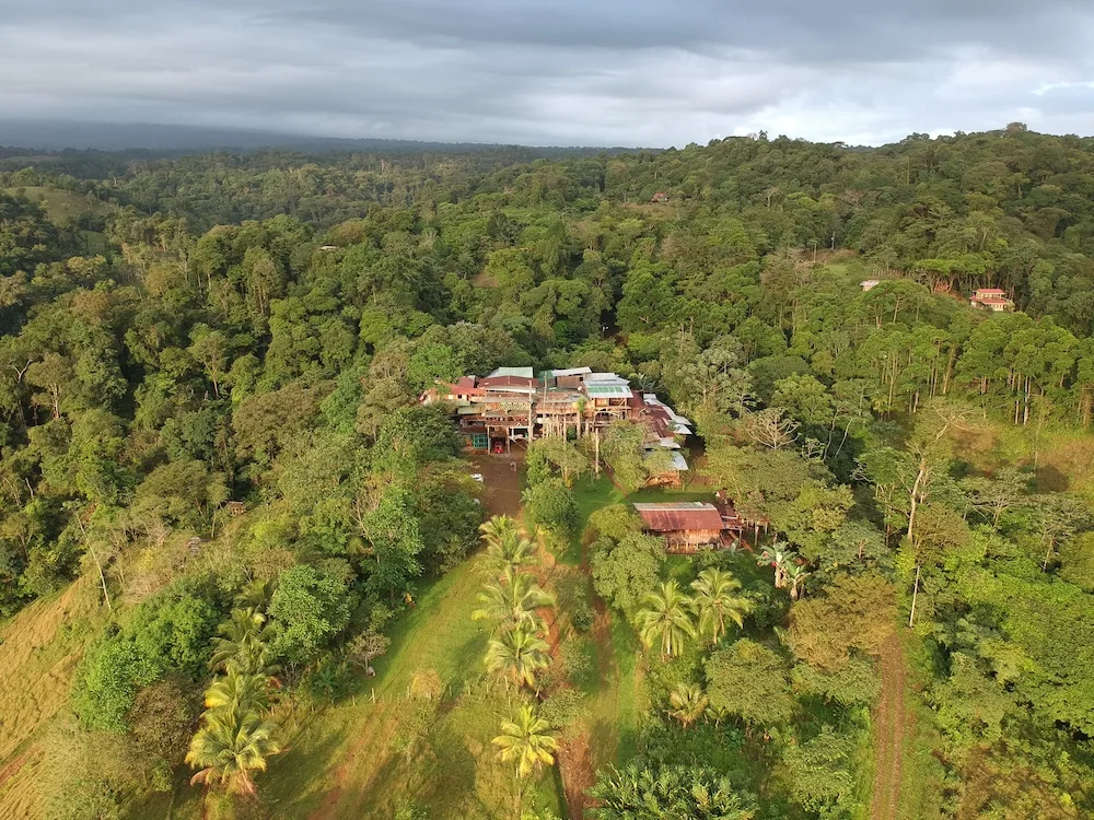 Drone shot of Mirador Prendas - in the middle of the jungle!