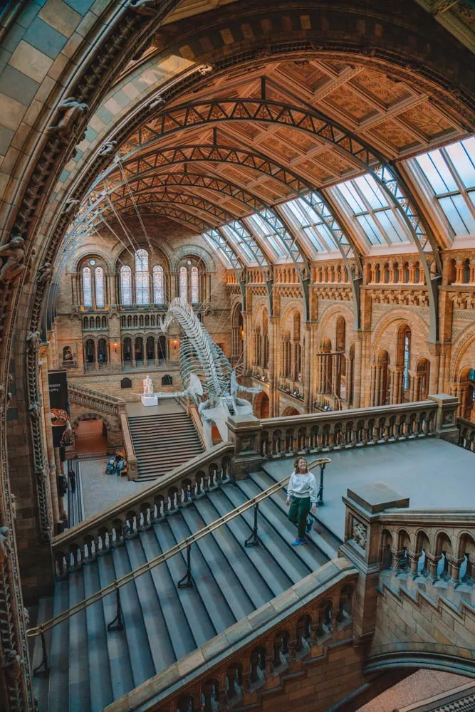 The inside of the Natural History Museum in London