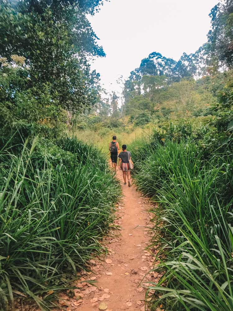 Follow the trail through the tall grass