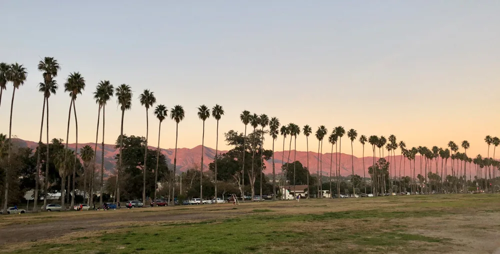 The palm tree skyline in Santa Barbara - photo by Passports and Preemies