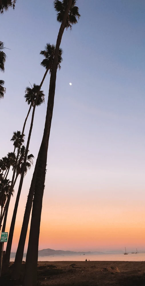 Palm tree silhouettes at sunset in Santa Barbara - photo by Passports and Preemies