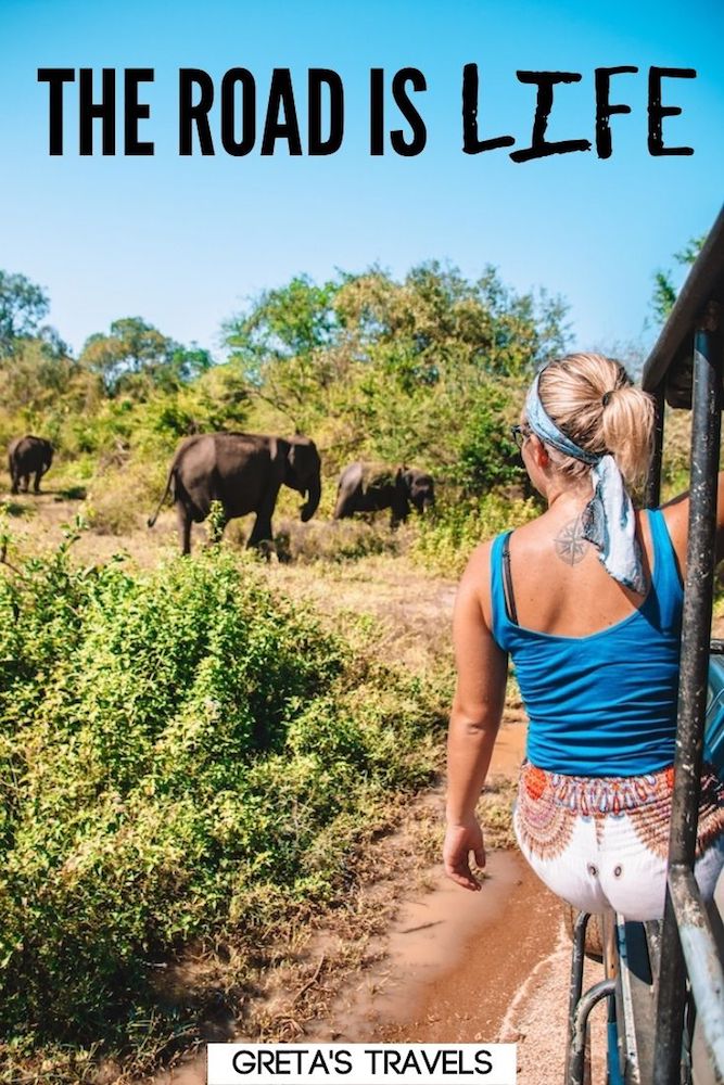 Photo of a blonde girl hanging out of a jeep watching wild elephants with text overlay saying "The road is life" - a perfect travel quote for instagram captions