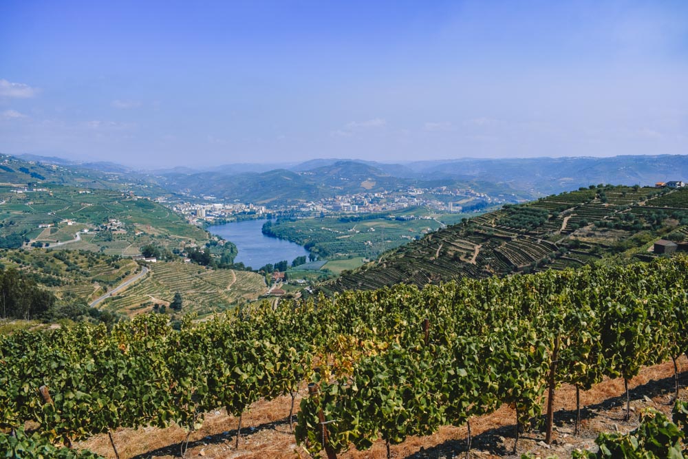 Exploring the vineyards of the Douro Valley - one of the most popular Porto day trips