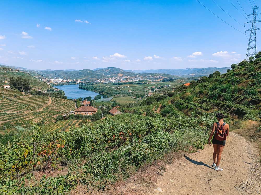 Hiking in the Douro Valley, Portugal