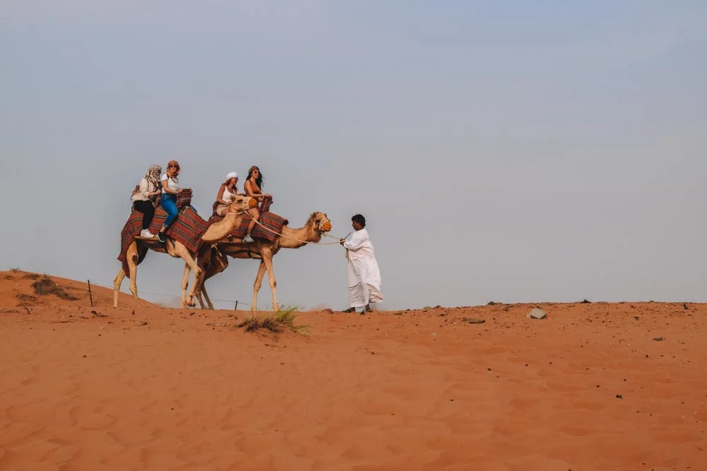 Enjoying a camel ride in Dubai desert