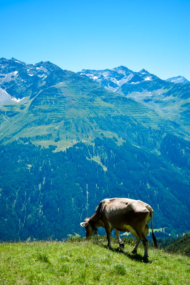 Enjoying the alpine sunshine in St Anton in summer