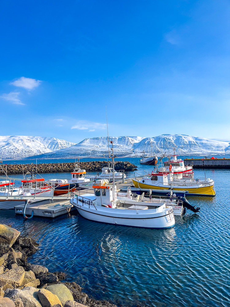 A cute harbour in Iceland