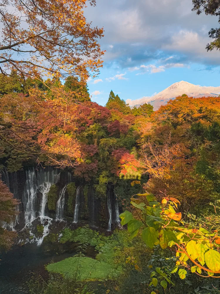 Shiraito Falls captured with a focus on the thick, vibrant autumn trees surrounding the cascading waters