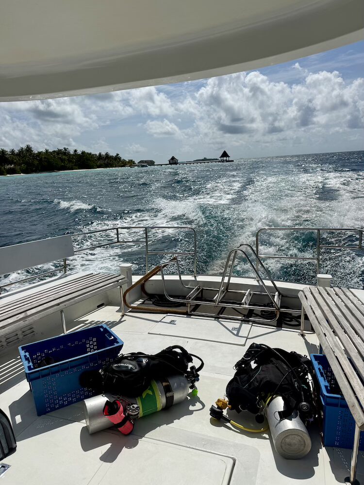 Going on a boat trip for our final Open Water dive